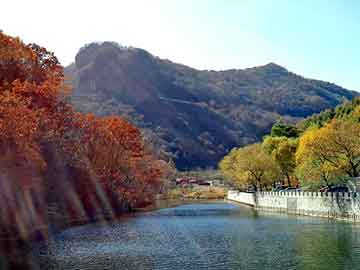 管家婆黑白马报图库，野花香社区